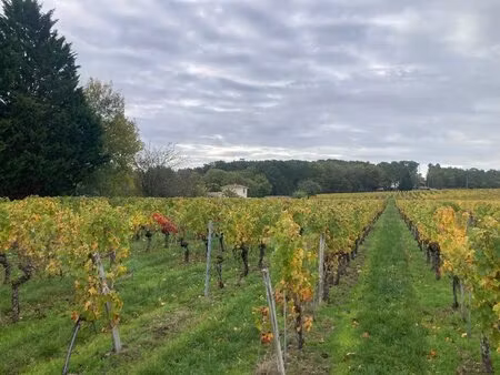 terrain à bâtir à saint-sauveur-de-puynormand (33660)