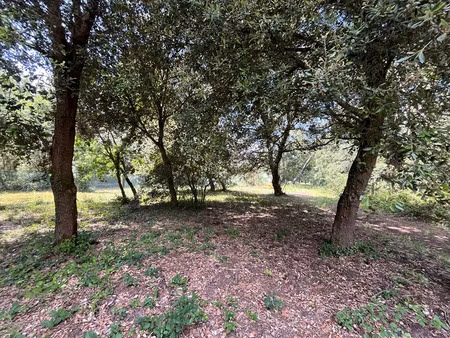 vente terrain le grand-village-plage 17370 - - surface privée