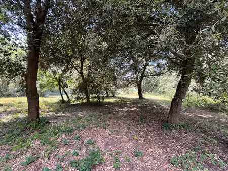 vente terrain le grand-village-plage 17370 - - surface privée