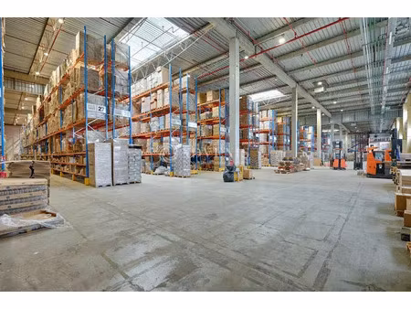 entrepot - logistique a louer
