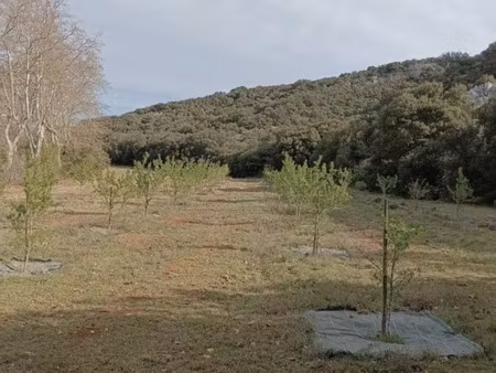 vente terrain 6460 m² valliguières (30210)