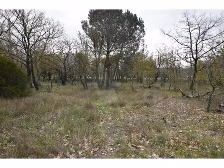 terrain à vendre à maraussan