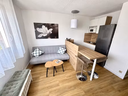 carnon  magnifique t2 meublé d'avril à juin !