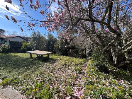 vente maison 4 pièces 75 m² à tarnos (40220)  339 000 €