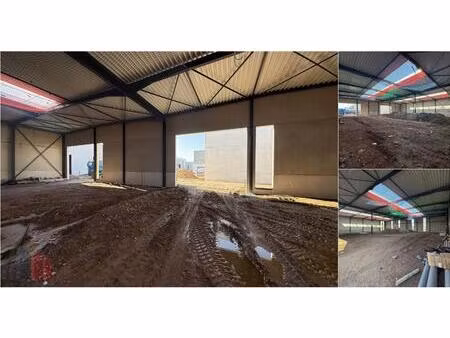 surface industrielle à louer à filliersdreef 15 deinze (rbv44940)