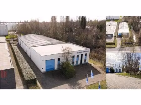 surface industrielle à vendre à tunnelweg 2 niel (rbv44944)