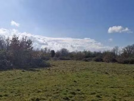 vente terrain à montcaret (24230) : à vendre / 8654m² montcaret