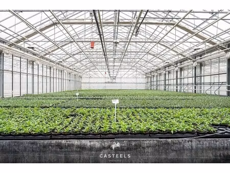 commercieel te koop in beervelde