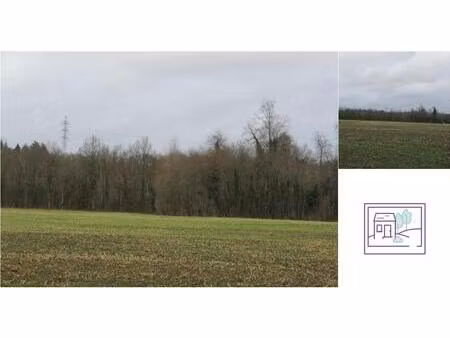 terrain à vendre à rue du calvaire harchies (vbd97385)