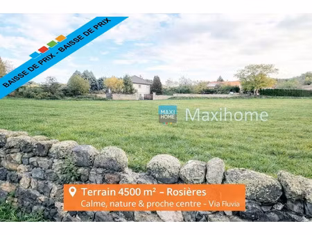 vente terrain 4500 m² rosières (43800)