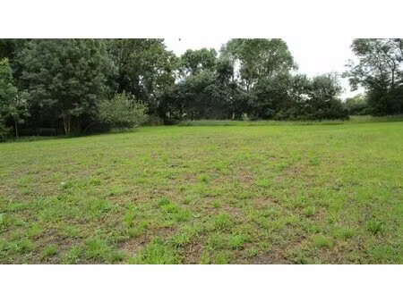 en vente terrain constructible 4 95 ares – 38 990 € |la jonchère