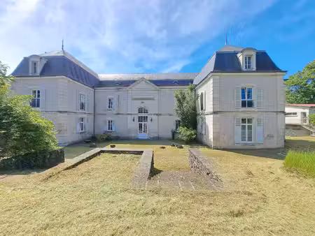 vente château 20 pièces