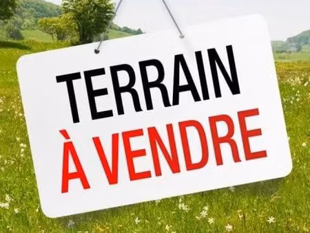 grande parcelle de terrain constructible saint pierre ( 97432)