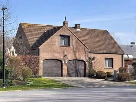 contactez morgan cornelis - 0489/91.50.75