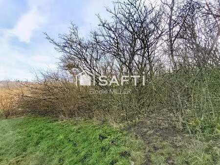 safti miller elodie conseiller indépendant