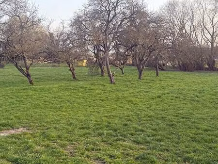 terrain constructible viabilisé à vendre