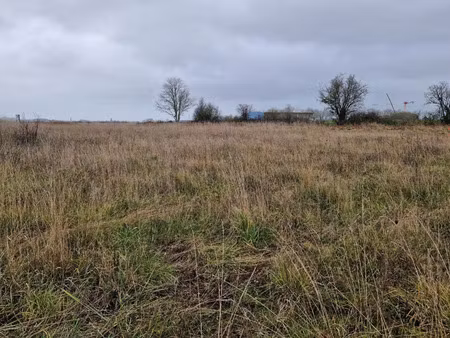 vente terrain à damigny (61250) : à vendre / damigny