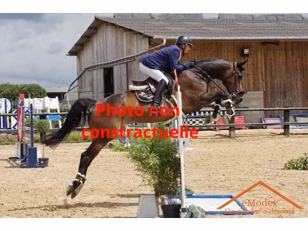 vente maison 10 pièces 170 m² à molsheim (67120)  1 500 000 €