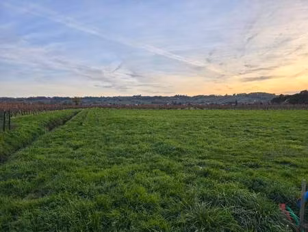 terrain constructible viabilisé à vendre