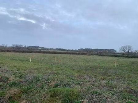 terrain constructible viabilisé à vendre