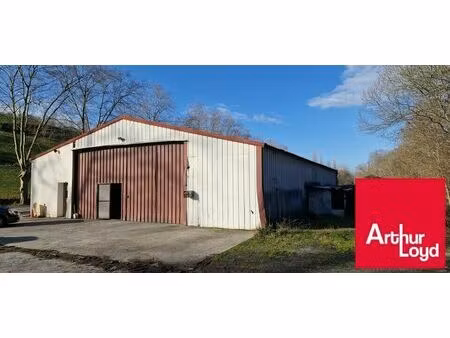 location commerce 440 m² à hasparren (64240)