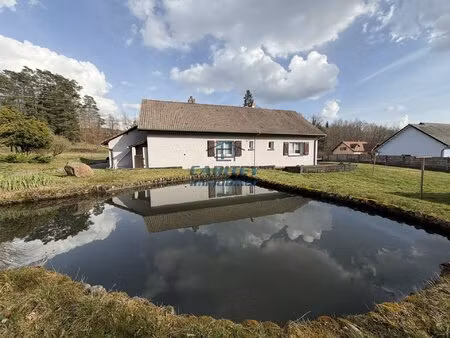ronchamp (70250) : charmante maison avec plan d'eau