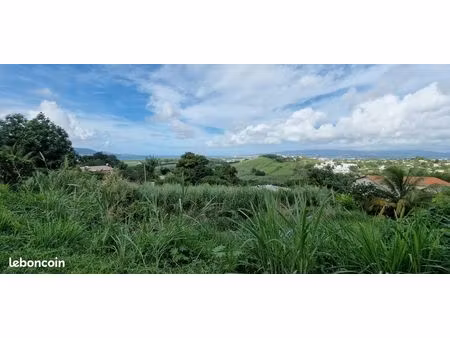 terrain 2159 m² ducos