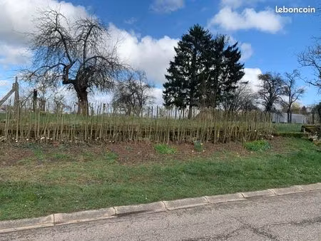 terrain à bettviller 737 m2