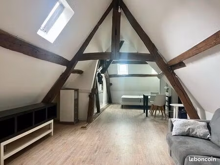 f1 meublé 50 m2 au sol/34 m2 loi carrez