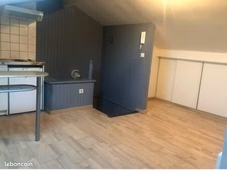 grand t1 de 31 m2 secteur calme