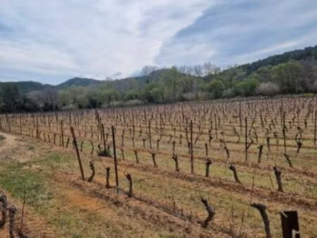 parcelle avec forage