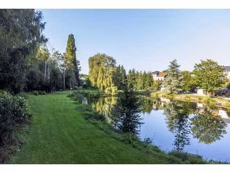 magnifique terrain avec étang à forchies-la-marche