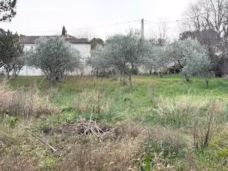 terrain constructible