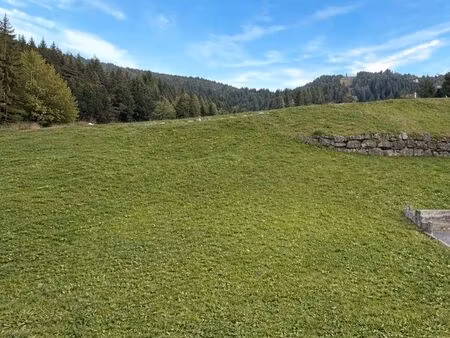 ?️ terrain constructible proche centre et remontées mécaniques ⛷️ 74260 les gets ?‍♂️