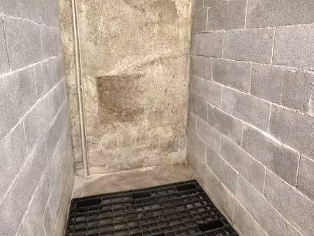 location cave saine quartier libération