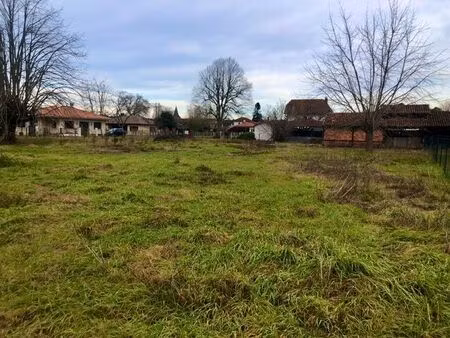 beau terrain à batir libre de constructeur