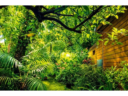 maison à vendre sainte rose 5 pièce(s) 116m2 279 000€