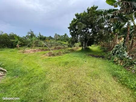 terrain 4 800 m² basse pointe