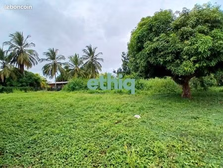 terrain 1600 m² capesterre-belle-eau