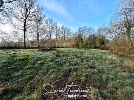 terrain 4 454 m² le theil en auge