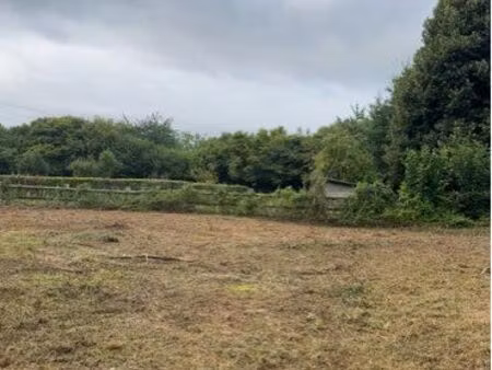 terrain reux 3122 m2