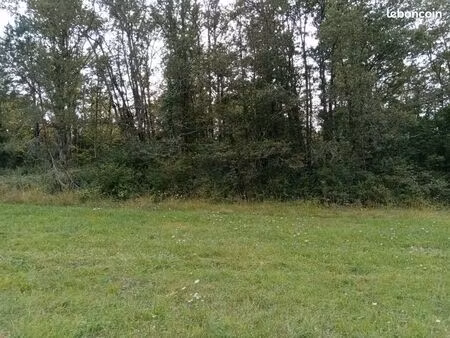terrain 4 3 hectares (prairies et bois) – javerlhac (24)