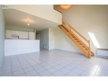 bel appartement duplex 3 chambres