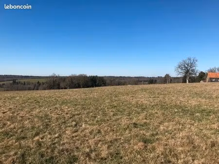 terrain constructible