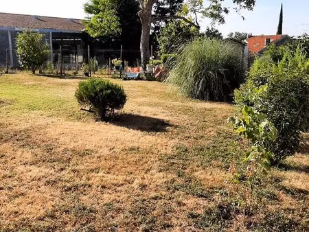 terrain constructible