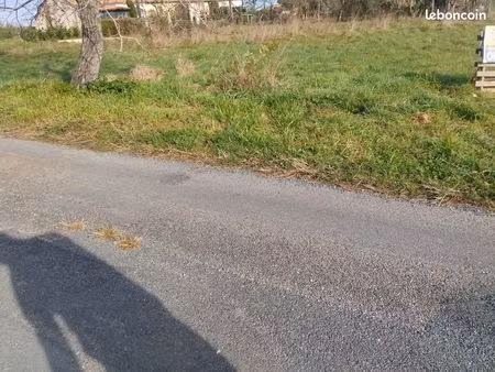 terrain constructible