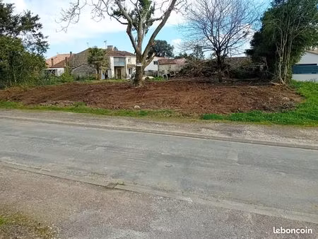 terrain constructible