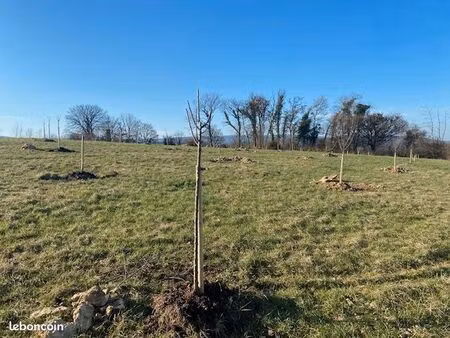 recherche terrain/prairie pour plantation de verger traditionnel