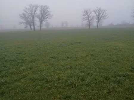 5 hectares dherbes avec trefles