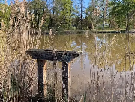 vente terrain 11458 m² à mézières-en-brenne (36290)  27 700 €